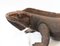 Hand Carved Komodo Dragon Sculpture 5