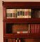 19th Century Bookcases in Mahogany from Globe Wernicke, Set of 2, Image 11