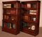 19th Century Bookcases in Mahogany from Globe Wernicke, Set of 2, Image 5