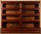 19th Century Bookcases in Mahogany from Globe Wernicke, Set of 2 1