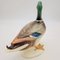 Large Vintage Duck in Porcelain from Göbel, 1970s, Image 9