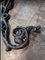 Art Nouveau Cast Iron Arm with Flowers for a Lantern 4