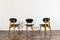 Dining Chairs by Juliusz Kędziorek, 1960s, Set of 3, Image 13