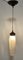 Tulip Lampe mit Länglichem Glasschirm, 1960er 9