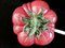 Large Vintage French Tomato Tureen, 1960s, Image 3