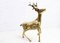 Brass Deer Couple, 1960, Set of 2 11