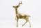 Brass Deer Couple, 1960, Set of 2 10