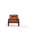 Woodline Lounge Chair by Zanuso for Arflex, 1960s 2