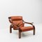 Woodline Lounge Chair by Zanuso for Arflex, 1960s, Image 1