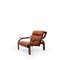 Woodline Lounge Chair by Zanuso for Arflex, 1960s, Image 2