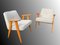 366 Easy Chairs by Jozef Marian Chierowski, 1960, Set of 2, Image 8