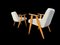 366 Easy Chairs by Jozef Marian Chierowski, 1960, Set of 2, Image 15