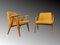 Vintage 366 Easy Chairs by Józef Chierowski, 1960, Set of 2 9