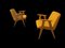 Vintage 366 Easy Chairs by Józef Chierowski, 1960, Set of 2, Image 14
