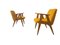 Vintage 366 Easy Chairs by Józef Chierowski, 1960, Set of 2, Image 13