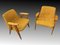 Vintage 366 Easy Chairs by Józef Chierowski, 1960, Set of 2, Image 5