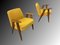 Vintage 366 Easy Chairs by Jozef Marian Chierowski, 1960, Set of 2 8