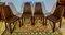 Art Deco Chairs in Walnut, 1920, Set of 4 3