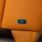 2-Seater Leather Sofa in Orange from de Sede 8
