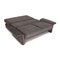 Fabric Sofa Gray 2-Seater Sofa & Daybed by Brühl Cara 3