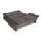 Fabric Sofa Gray 2-Seater Sofa & Daybed by Brühl Cara, Image 3