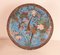 Large Japanese Cloisonné Dishes, 1890s, Set of 2 16