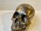 Vintage Bronze Sculpture Cast of a Human Skull, 1950s 4