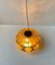 Caged Amber Glass Pendant Lamp by Nanny Still for Raak, 1960s 5