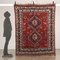 Iranian Shiraz Rug in Wool, Image 2