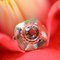 French Spessartite Garnet 18 Karat Rose Gold Ring, 1960s, Image 3