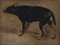 Jacques-Laurent Agasse, Dog Study, Oil on Cardboard, Framed 2