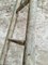 Vintage French Picking Ladder, Image 5