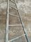 Vintage French Picking Ladder 6