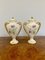 Vases Antiques Victorien, 1880, Set de 2 5