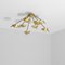 Octo II Helios Collection Blackened Ceiling Lamp by Design for Macha, Image 1