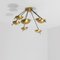 Septem II Helios Collection Unpolished Opaque Ceiling Lamp by Design for Macha 1
