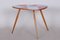 Small Mid-Century Table in Beech and Umakart, Czechia, 1950s 7
