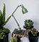 Industrial Workshop Angle Poise Lamp with Green Enamel Shade 11
