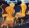 Pine Dining Chairs, Set of 6 6