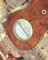 Barometro vittoriano con cassa in palissandro, Immagine 7