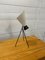 Mid-Century Table Lamp with Spiderlegs by Josef Hůrka for Napako, 1958s, Image 5