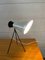 Mid-Century Table Lamp with Spiderlegs by Josef Hůrka for Napako, 1958s, Image 7