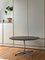 Table Basse par Arne Jacobsen pour Fritz Hansen, 1960s 3