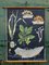Vintage Botanical School Wall Chart by Jung, Koch, & Quentell for Hagemann, Image 1