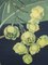 Vintage Botanische Vintage Lehrtafel von Jung, Koch & Quentell für Hagemann 4