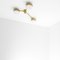 Celeste Syzygy Polished Brushed Ceiling Lamp by Design for Macha 4