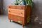 Vintage Wooden Shoe Cabinet 4