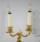 Late 19th Century Candleholders in Gilded Bronze, Set of 2, Image 10