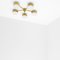 Celeste Ethereal Chrome Opaque Ceiling Lamp by Design for Macha, Image 3