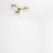 Celeste Epiphany Chrome Opaque Ceiling Lamp by Design for Macha 4